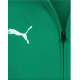 PUMA TeamRise Sideline Jacket Green