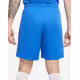 NIKE Park III Dri-FIT Shorts Blue