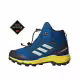 ADIDAS Terrex Mid Gore-Tex Blue