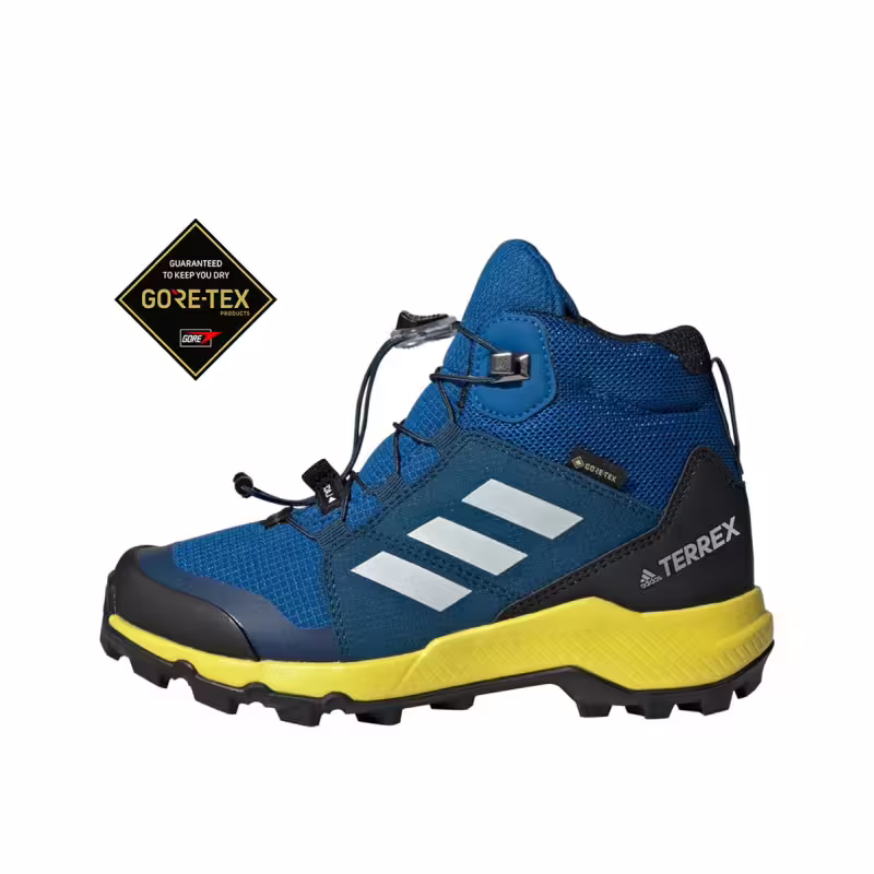 ADIDAS Terrex Mid Gore-Tex Blue