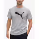 PUMA Graphic Summer Tee Grey