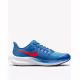 NIKE AirZoom Pegasus 39 W Shoes Blue