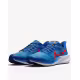 NIKE AirZoom Pegasus 39 W Shoes Blue