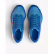 NIKE AirZoom Pegasus 39 W Shoes Blue