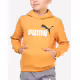 PUMA Essentials+ 2 Color Big Logo Hoodie Orange