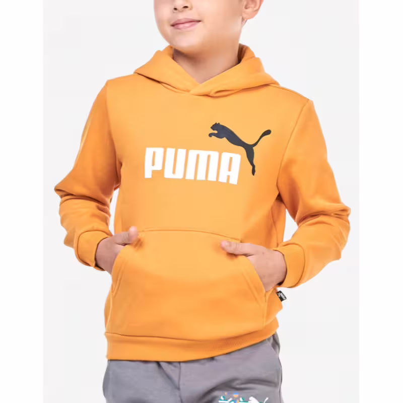 PUMA Essentials+ 2 Color Big Logo Hoodie Orange