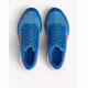 NIKE AirZoom Pegasus 39 W Shoes Blue