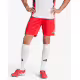 ADIDAS Tiro 25 Pro Training Shorts Red