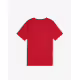 PUMA Essentials+ Logo Lab Summer Tee Red