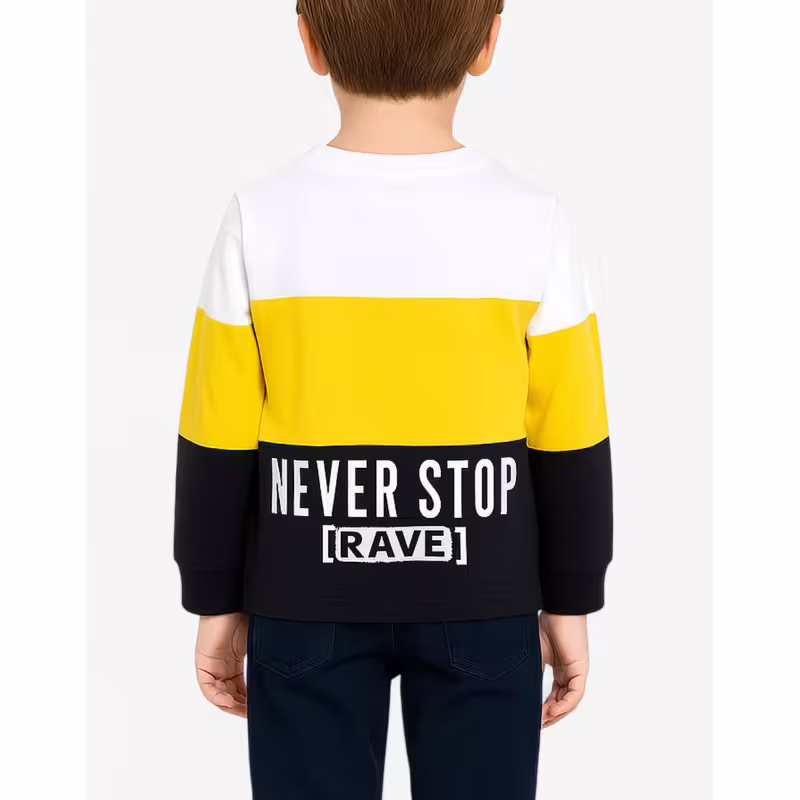CHICCO Boys Sweatshirt Multicolor