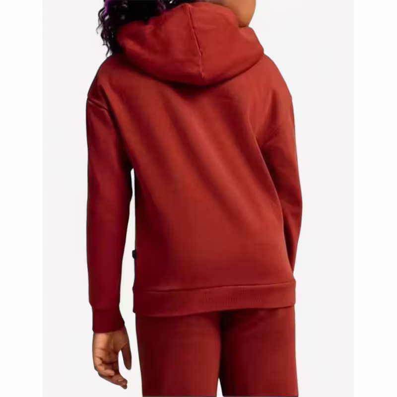 PUMA Essentials+ Script Metallic Hoodie Red