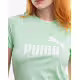 PUMA Essentials Logo Tee Garnet Green