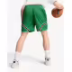PUMA Crowd Craze Mesh Short Archiv Green