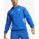PUMA x Manchester City FC Ftblarchive Hoodie Racing Blue