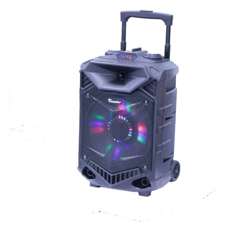 Преносима активна караоке тонколона THS-B1201BTW 12" с вграден усилвател и 2 безжични микрофона 200W